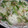 ★チャコ姫★'s cooksnap of when they made ツナと長ネギの炒めそうめん.