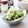 runa10's cooksnap of when they made ピリ辛が最高！フライドオクラ.