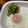 UAママ's cooksnap of when they made きゅうり大量消費！きゅうりのキンピラ.