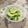 クック4NRZ4L☆'s cooksnap of when they made 黒瓜(カリモリ？)の一夜漬け　.