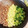 りぼ吉's cooksnap of when they made 三色丼（そぼろ・たまご・小松菜）.
