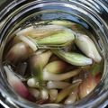 Remtan's cooksnap of when they made ミョウガの甘酢漬け.