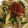クックNPN3GI☆'s cooksnap of when they made さっと作れる♪ねぎと豚ひき肉の炒めもの.