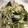 こた梅's cooksnap of when they made ササミともやしの辛みあえ.