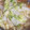 ☆hikonyan☆'s cooksnap of when they made 白菜と油揚げの煮物.