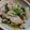 twママ's cooksnap of when they made ☆簡単☆レタスと豚こまの味噌マヨ炒め.