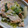 twママ's cooksnap of when they made ☆簡単☆レタスと豚こまの味噌マヨ炒め.