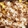 fujiaya126's cooksnap of when they made ♡とうもろこしのバター醤油炊き込みご飯♡.