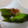 naocolin's cooksnap of when they made さっぱりまろやか、オクラの梅かつお和え.