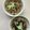 Ruriluru's cooksnap of when they made たきこみごはん●ネギ海苔のトッピング.