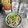 ebipeco's cooksnap of when they made 包丁なし♡柚子豚もやしのレンチン蒸し.