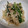 fu♪♪'s cooksnap of when they made 簡単、すぐできる もやしとニラの和え物.