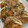 だいすきぶどうパン's cooksnap of when they made とろとろ～♪我が家のたこ焼生地♡.
