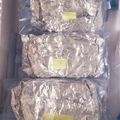 ゆかりんご117♪'s cooksnap of when they made 風味逃さない❣食パンの冷凍保存の方法♬.