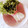 口福さん♪'s cooksnap of when they made ＊便利＊ かいわれの洗い方.