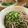 うさにさん's cooksnap of when they made 絶品♪そばつゆ／本格！蕎麦屋風.