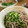 うさにさん's cooksnap of when they made 絶品♪そばつゆ／本格！蕎麦屋風.