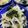 pika3's cooksnap of when they made キャベツとえのきのヘルシーナムル.
