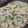 ぴゆみい's cooksnap of when they made 簡単もんじゃ焼き.