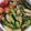 鹿部さっちゃんクック's cooksnap of when they made 麺つゆ・白だしで出汁香る夏野菜漬け.
