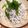 yuktab's cooksnap of when they made 誰でも出来る！簡単とろろ丼☆.