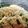 おぉぱ's cooksnap of when they made ニラ玉ふわ焼き.