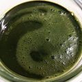 喜八＆Hacchi's cooksnap of when they made 抹茶シロップ＠かき氷用.