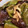クックHDP0M2☆'s cooksnap of when they made なすとピーマンの丸ごと煮物.