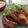 クックあっか☆'s cooksnap of when they made ご飯が進む！こってりコク旨スペアリブ.