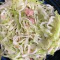 手抜きクック's cooksnap of when they made 簡単うま！つい手が出るキャベツナサラダ.