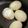 クックGM6B3Y☆'s cooksnap of when they made 殻がつるりと剥ける茹で卵 卵のから剥き.