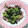 オリオバナ's cooksnap of when they made ご飯がすすむ「豚肉と小松菜の塩だれ炒め」.
