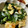 yu228's cooksnap of when they made ☆わかめと白ネギと卵炒め☆.