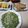 よちりん's cooksnap of when they made ねぎ焼き（ネギチヂミ風）.