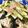 クック0P8KCB☆'s cooksnap of when they made サッポロ一番塩ラーメン！冷やしアレンジ♪.