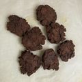 やいしま's cooksnap of when they made おからクッキー　〜カントリーマアム風〜.
