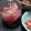 dimbula121's cooksnap of when they made 新生姜の甘酢漬け.