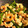 ame-ikuru's cooksnap of when they made 海老のアヒージョ.