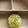 こっここ★'s cooksnap of when they made じゃがいもとしらすのおやき 離乳食後期〜.