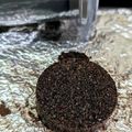 NAGANO久留米's cooksnap of when they made ドリップコーヒーのだしがらで消臭剤を.
