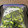◆どらしま◆'s cooksnap of when they made 簡単☆ゴーヤの冷凍保存.
