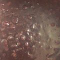 クックO8HTTL☆'s cooksnap of when they made 手作り粒あん（小豆の煮方）圧力鍋使用.