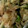 MULA's cooksnap of when they made 焼きそばみたいな野菜炒め.