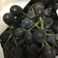 葉月優希's cooksnap of when they made 農家さん直伝☆ぶどうの保存方法.