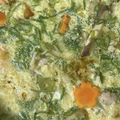 ぴす's cooksnap of when they made 土鍋で大っきな具沢山茶碗蒸し(土鍋蒸し).