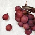 しーくれっと・らいふ's cooksnap of when they made 巨峰を長持ちさせる保存方法。お弁当にも！.