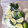 びぃころ's cooksnap of when they made すだちの保存.