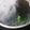 kuragenoie's cooksnap of when they made さっぱり☆青じそジュース.
