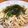 迦陵♪'s cooksnap of when they made 簡単☆梅しそおじゃこの冷製スパゲティ.