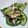 クック9FTZ84☆'s cooksnap of when they made ゴーヤとツナの塩昆布和え.